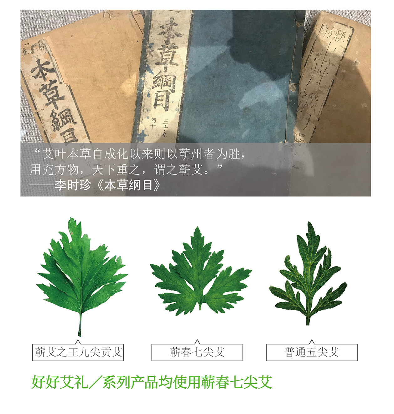 端午禮品定做