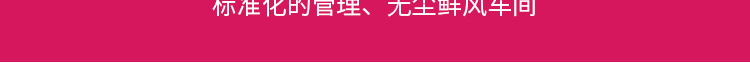 端午節(jié)小禮品